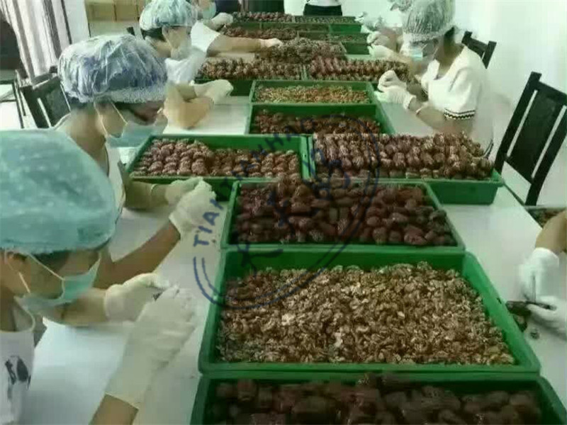 天天食品枣业展厅